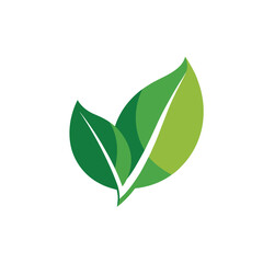 Fototapeta premium Green leaf isolated on white background