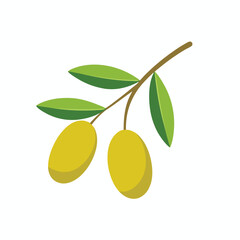 vector illustration of an olive branch