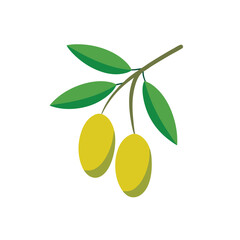 Vector illustration of green olives with leaves isolated