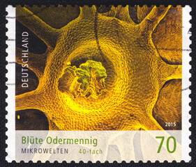Agrimony Flower at 40x Magnification on a 2016 Germany postage stamp. Microworlds 2015 Series
