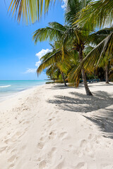 A vertical beach photo taken on Saona Island, Dominican Republic, showing tall palm trees casting...