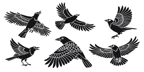 Obraz premium Eagle bird vector set silhouette flying animal wing illustration hawk nature black feather tattoo falcon dove symbol wildlife freedom flight wild beak design