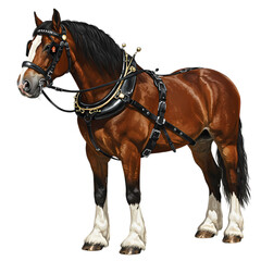 Obraz premium Majestic Clydesdale Horse: A Powerful Breed