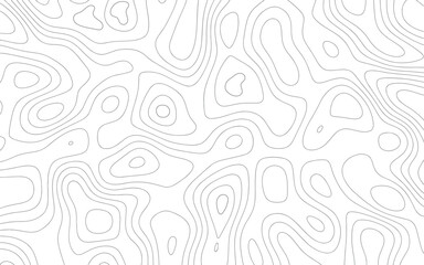 Abstract topographic line map. Cartography line map. Geographic line map. Topographic wavy pattern. Line wave. Carve pattern on a white background.