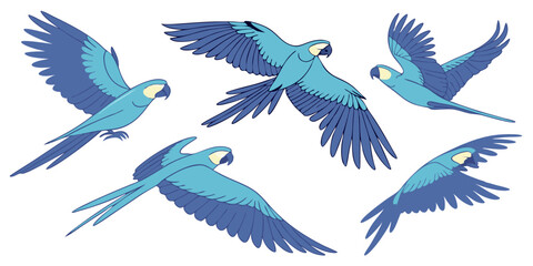 Obraz premium Vector illustration set of flying blue birds and a black eagle silhouette with feathery wings