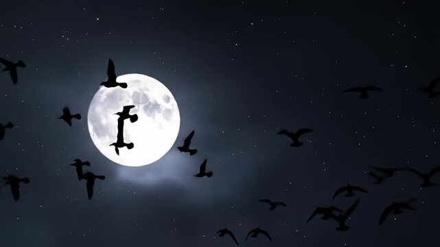 Full moon and birds in silhouette against a starry night sky