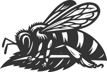 A bee insect black vector illustration silhouette drawing