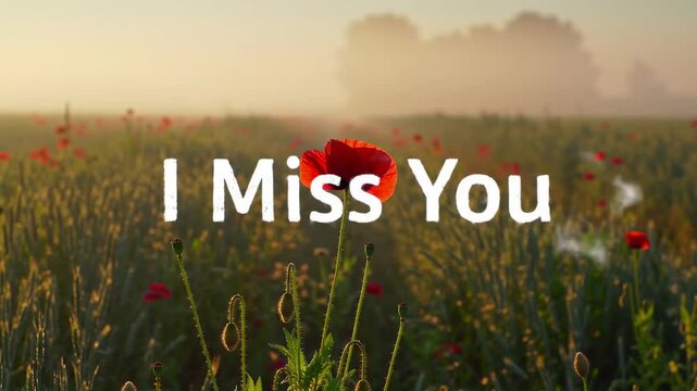 Red poppy flower in a wheat field at dawn with text i miss contemplative and evocative image