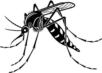 mosquito illustration vector