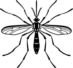 vector illustration of mosquito