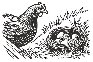 Traditional Farm Hen with Nest Outline Art