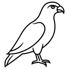 Fototapeta premium vector illustration of a hawk