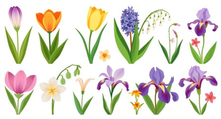 Spring flowers, Spring floral, Blooming flowers, Colorful spring flowers, Spring bouquet, Garden flowers, Springtime blossoms, Fresh flowers, Seasonal flowers, Wildflowers, Spring flower vector, Sprin