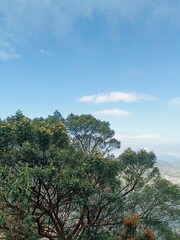 Pemandangan Alam dengan Pohon Hijau dan Langit Biru Cerah