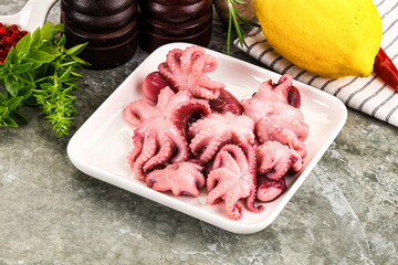 Marinated baby octopus snack appetizer © Andrei Starostin