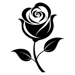 Elegant stylized black and white rose with subtle color accents