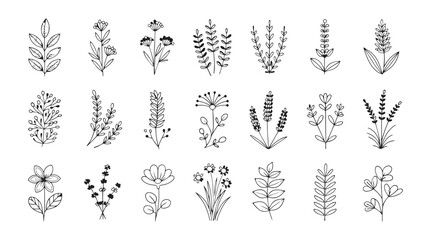 Collection of hand drawn botanical illustrations featuring various flowers and leaves in a simple line art style silhouette