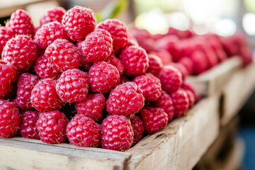 Juicy Organic Raspberries in Wooden Crate