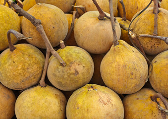 fresh santol in the market