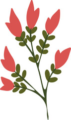 red rose isolated on white background