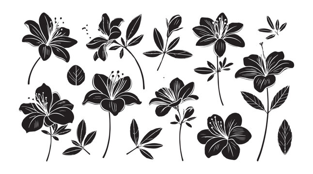 Collection of black and white floral illustrations with detailed petals and leaves silhouette
