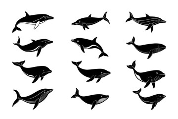Whale and Dolphin Silhouette Vector Collection 