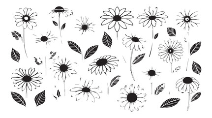 Collection of daisy flowers and leaves in a stylized black and white line drawing silhouette