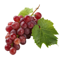 Fototapeta premium A fresh bunch of ripe red grapes with a single green leaf isolated on a transparent background png