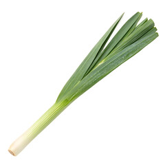 A long green blade of fresh lemongrass, an aromatic culinary herb isolated on a transparent background png