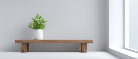 Minimalist interior, green plant, vase, bench, home decor, Scandinavian style, blank wall