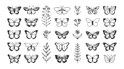 Collection of detailed hand drawn butterfly and floral illustrations in a black and white silhouette style