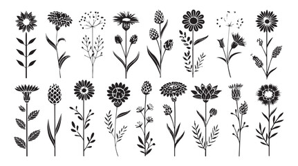 Collection of diverse botanical flower silhouettes with delicate stems and leaves