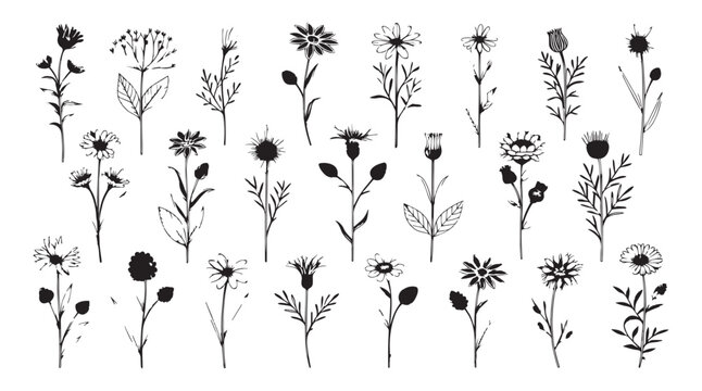 Collection of hand drawn wildflowers and botanical elements in a distinctive silhouette style