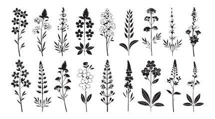 Collection of various botanical flower and leaf illustrations in a distinctive silhouette style