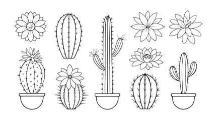 Collection of various cactus plants and flowers in pots with delicate line art silhouette style © rohan