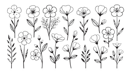 Collection of delicate hand drawn floral elements in a minimalist outline silhouette style