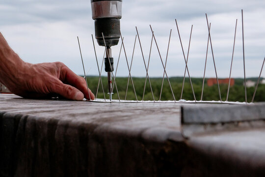 Close-up of a worker using a cordless power drill to install stainless steel bird deterrent spikes on a rooftop edge, with protective anti-pigeon barrier system in focus
