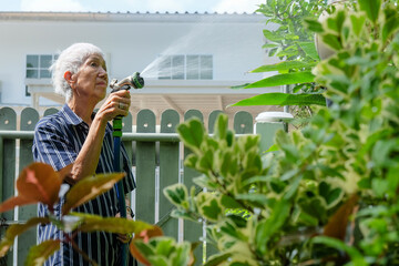 Senior asian woman watering the garden with hose in home garden.