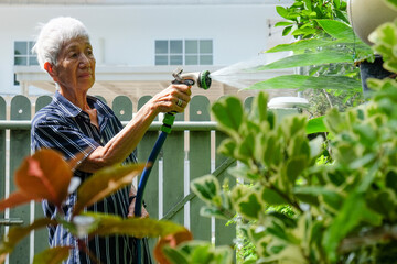 Senior asian woman watering the garden with hose in home garden.
