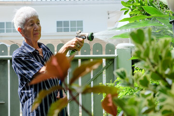 Senior asian woman watering the garden with hose in home garden.