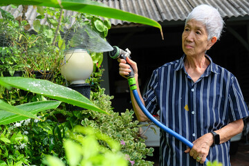 Senior asian woman watering the garden with hose in home garden.