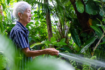 Senior asian woman watering the garden with hose in home garden.