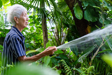 Senior asian woman watering the garden with hose in home garden.