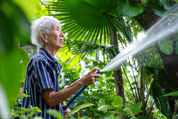 Senior asian woman watering the garden with hose in home garden.