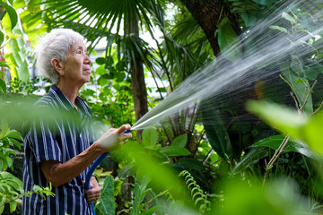 Senior asian woman watering the garden with hose in home garden.