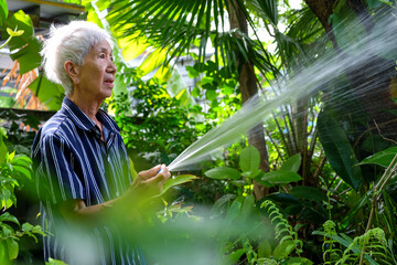Senior asian woman watering the garden with hose in home garden.