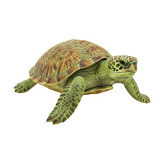 Fototapeta premium Realistic Sea Turtle – Swimming Pose – Marine Animal Clipart