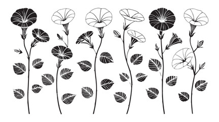 Collection of elegant morning glory flowers and leaves in a stylized black and white silhouette design