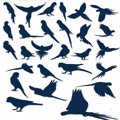 parrot icon set in sitting , flying open feathers different style silhouettes pack