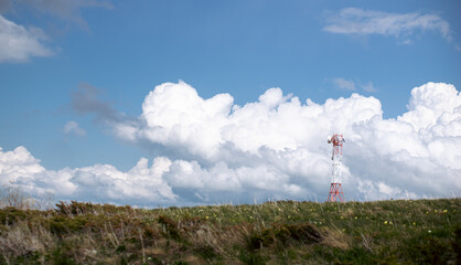 the wind turbine